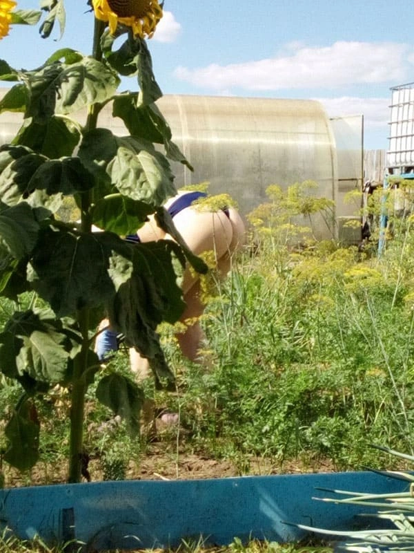 Подсмотренное фото за соседкой на даче в деревне