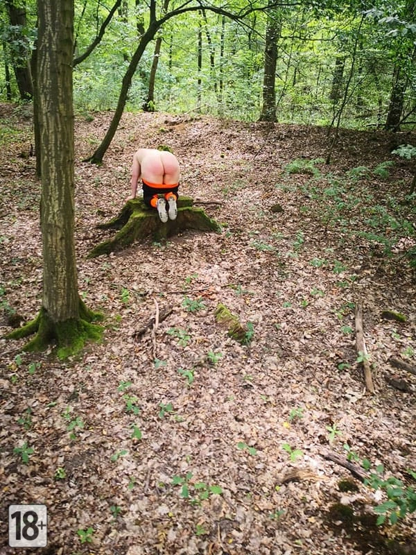Муж поставил толстую жену раком в лесу ( 20 фото )